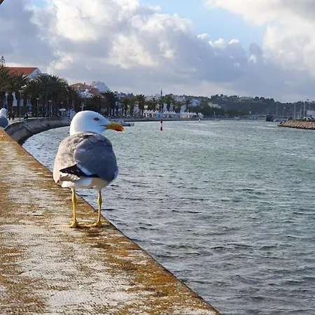 Casa Felicidade Lägenhet Lagos